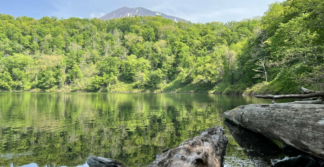 Parque Natural Lago Hangetsu